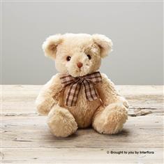 Ralph recycled Bear