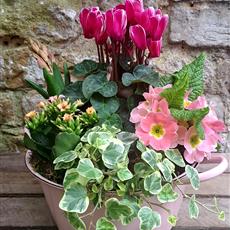 Bespoke seasonal plant arrangement