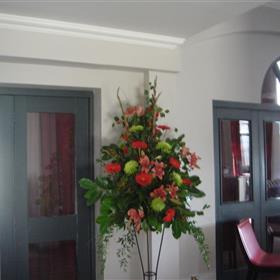 fwthumbDSC01030.jpg
