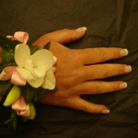 fwthumbDSC01759-1.jpg