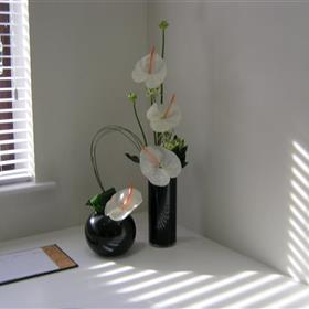 fwthumb_IEW6912b02JPG.jpg