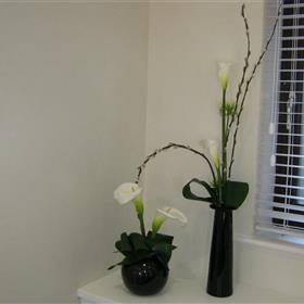 fwthumb_IEW6912b03JPG.jpg